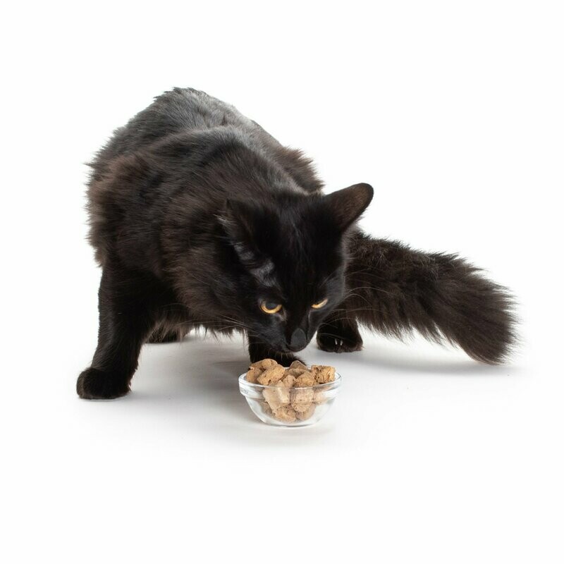 Hauspanther Freeze-dried Raw Single Ingredient Cat Treats 1.5 oz