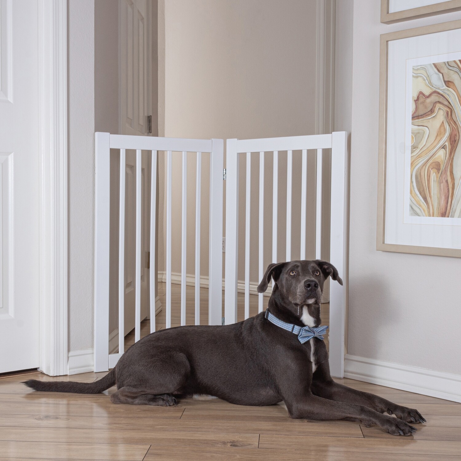 Primetime petz 360 configurable gate 2025