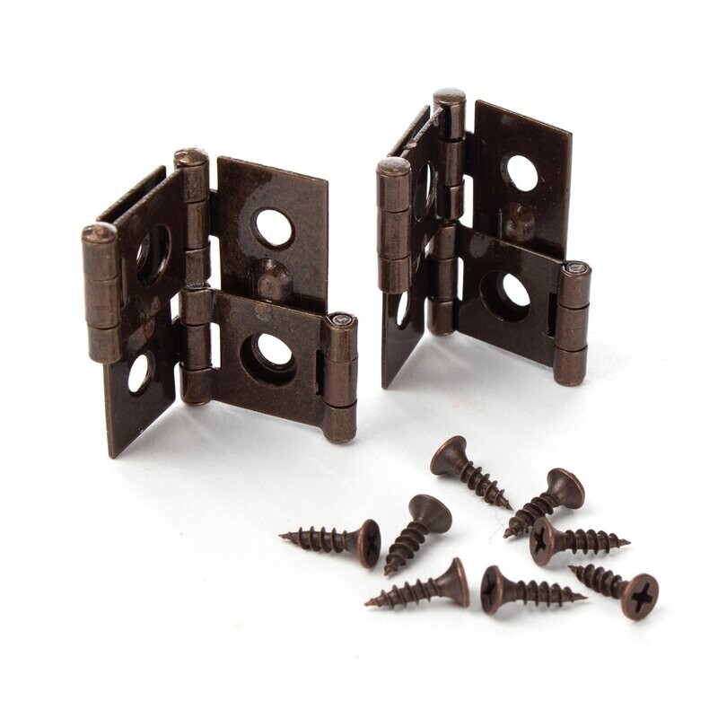 360˚ Gate Hinge & Screw Set