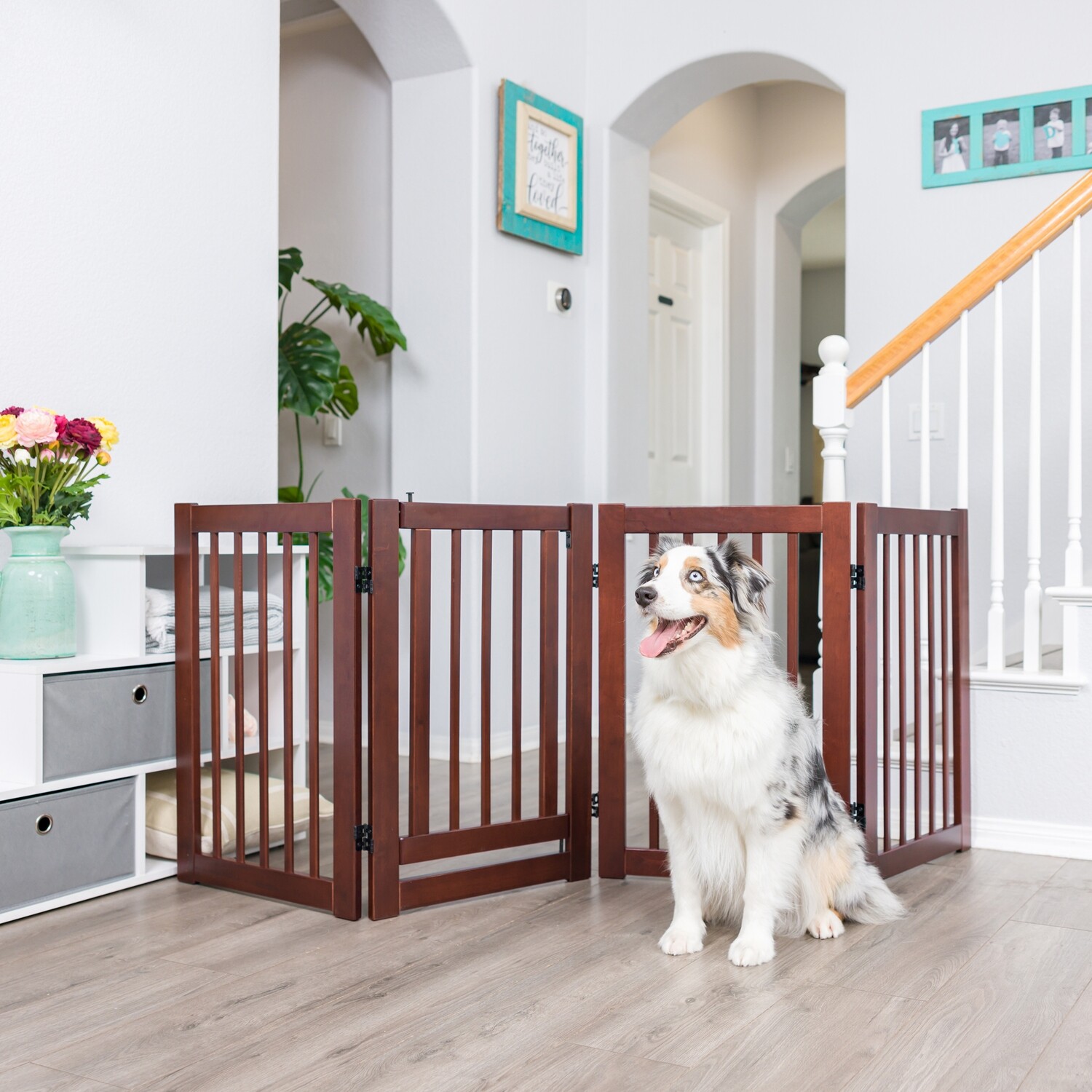 7 foot pet gate discount