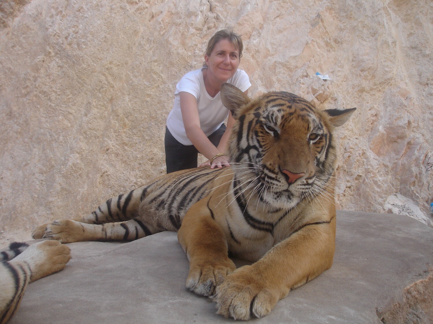 Atelier sur Zoom - QI Gong année du tigre
