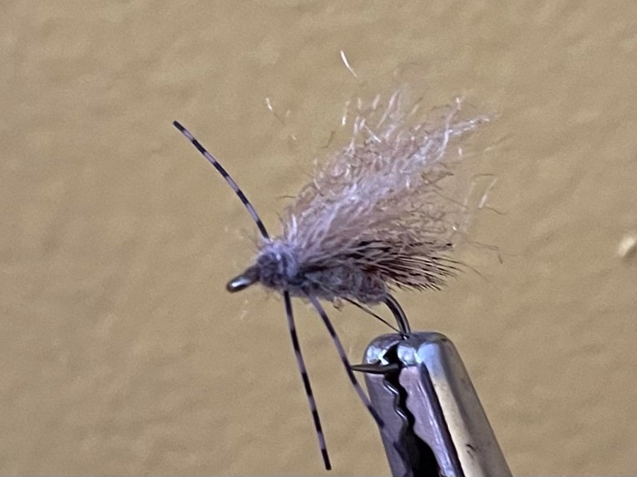 Poly Fluff Caddis Adult Poly Fluff Caddis Adult