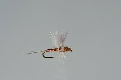 Little Red Quill CDC Thorax