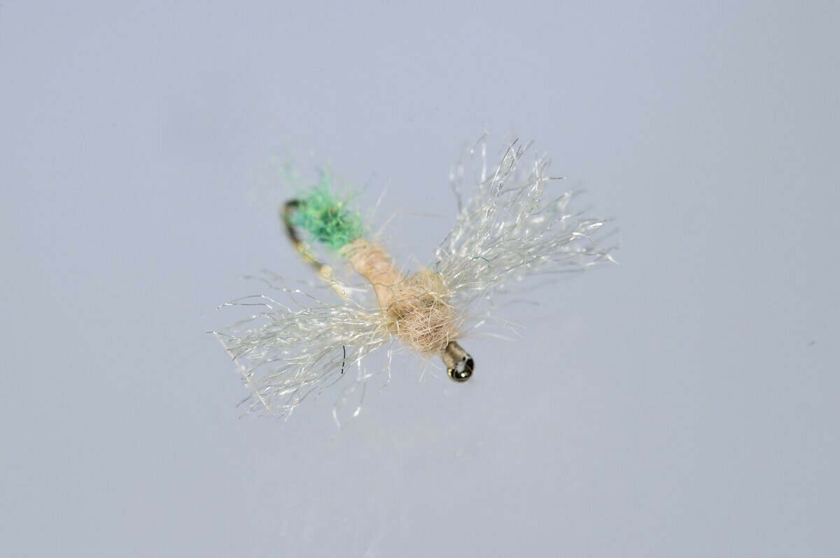 Caddis Spent Adult, Female