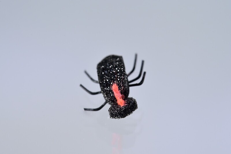 Jim's Real Beetles