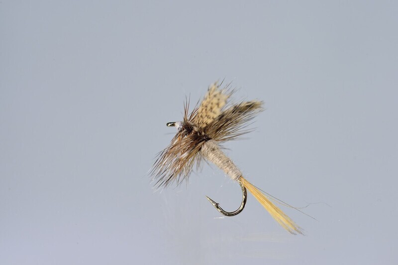 March Brown Traditional Dun