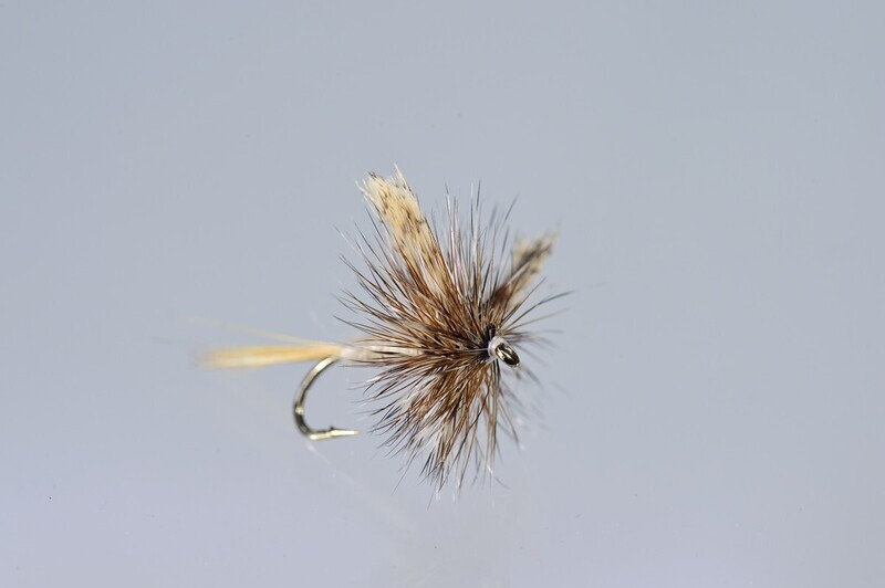 March Brown Traditional Dun