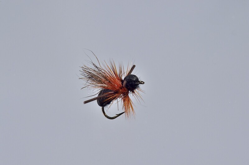 Winged Foam Ants