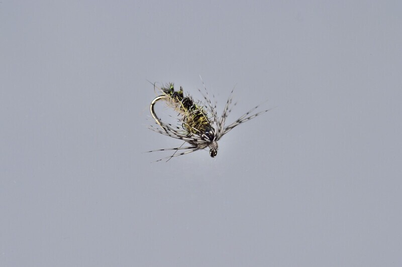 Tungsten Trapper Soft Hackle