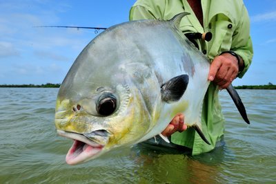 Saltwater Flies