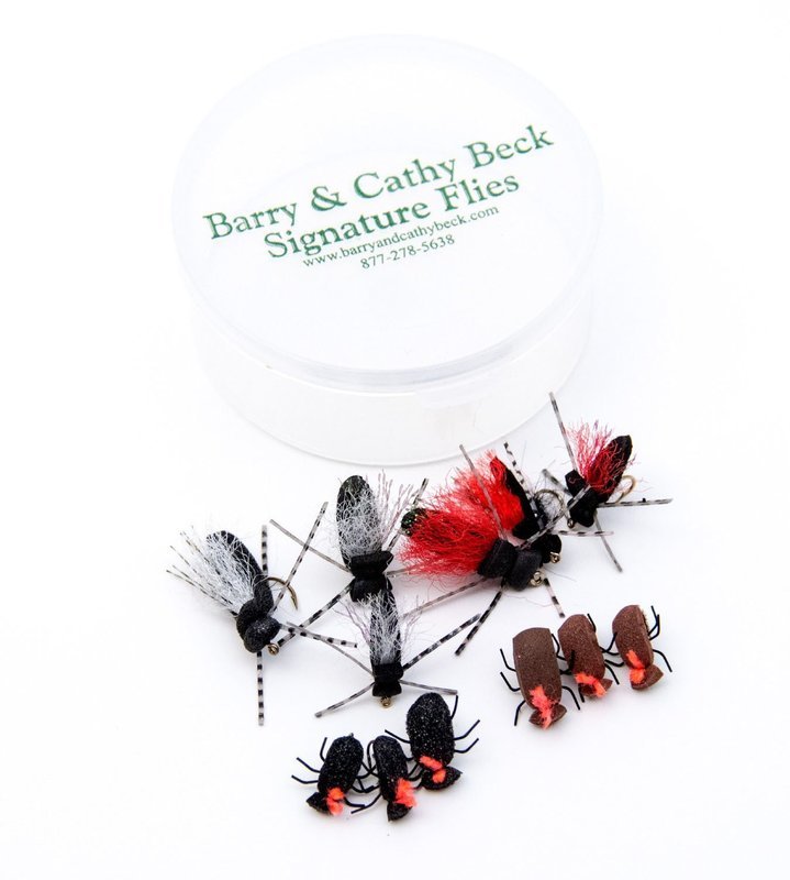 Beetle-time Selection