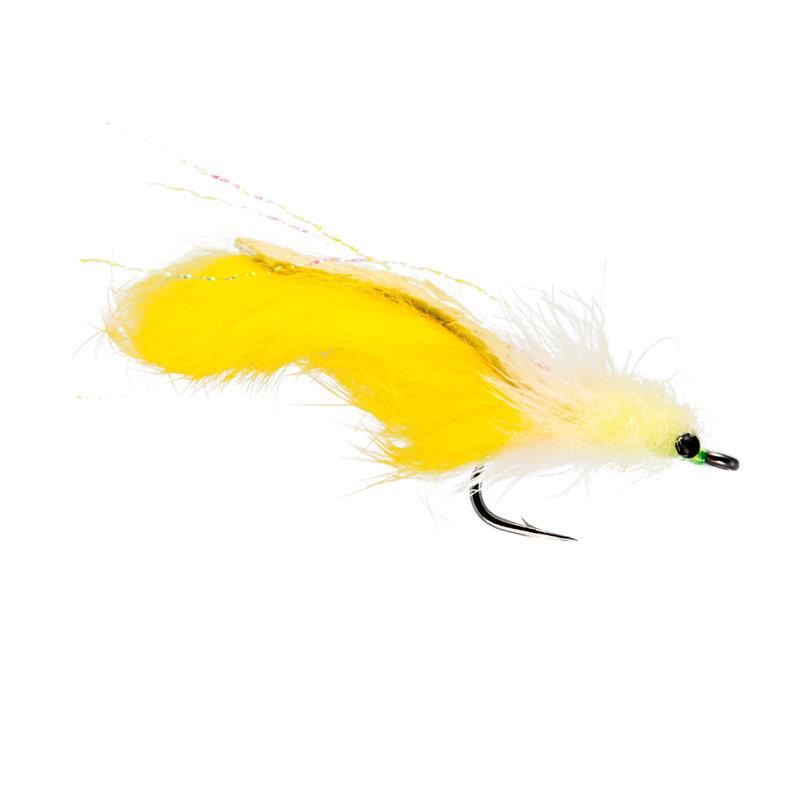 Tarpon Toad