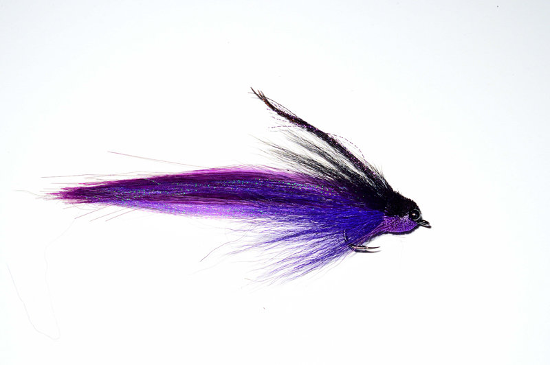Black &amp; Purple Tarpon Tempter
