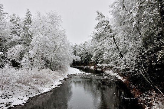 Winter Stream 18x27 Winter Stream 18x27