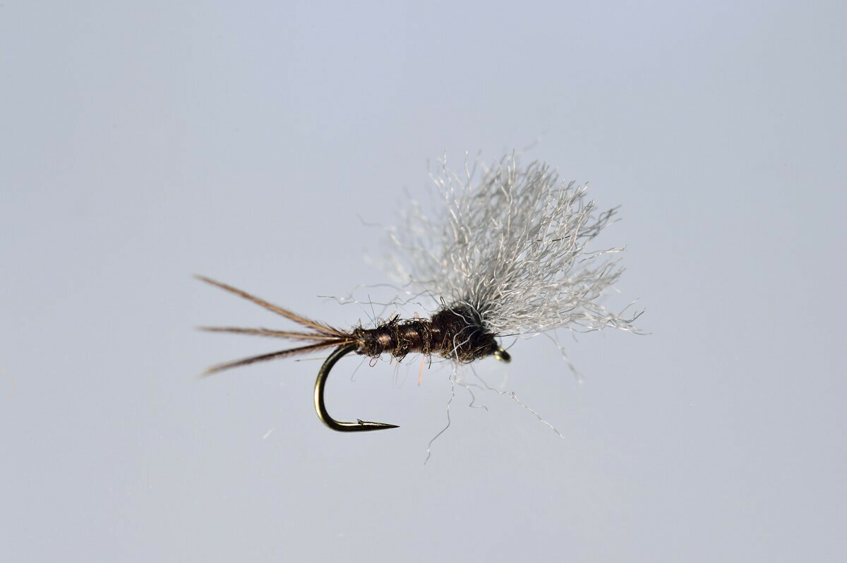 Hendrickson Poly Fluff Dun, Male