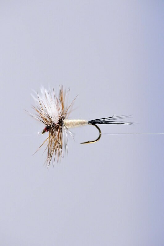 Ausable Wulff