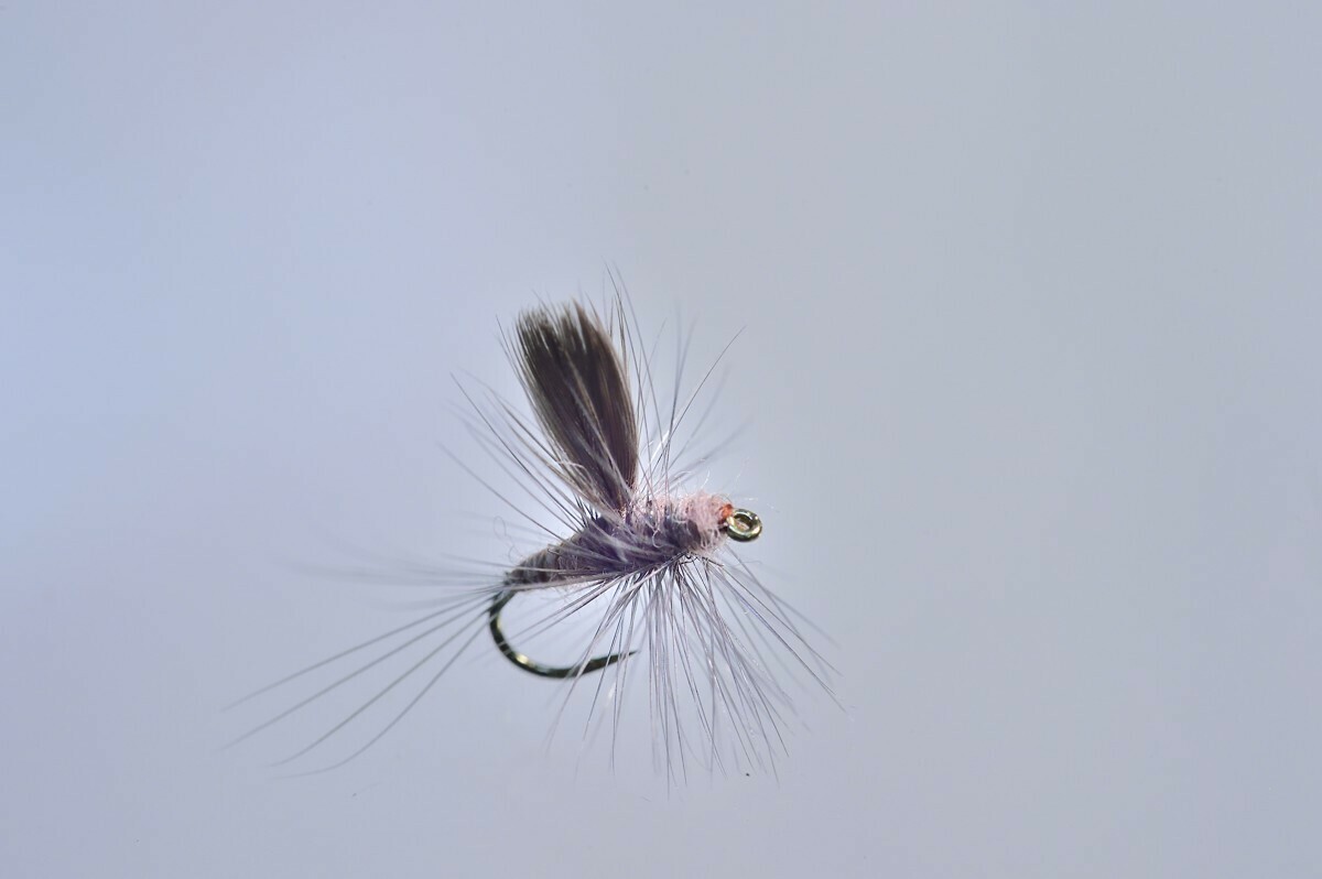 Hendrickson Thorax Dun