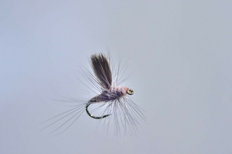 Hendrickson Thorax Dun