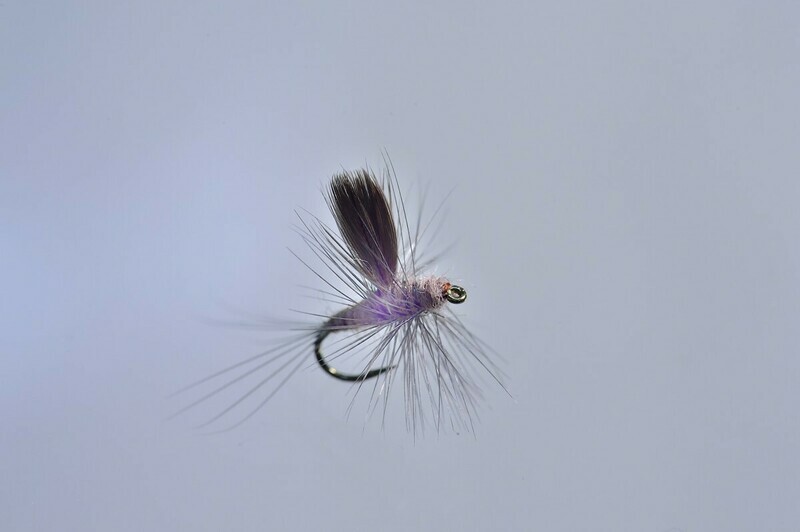 Hendrickson Thorax Dun