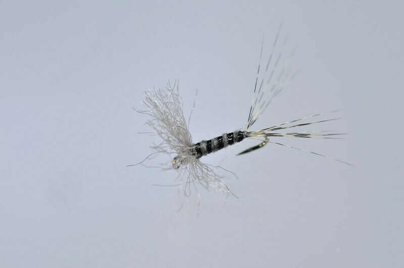 Little Blue Quill Poly Fluff Dun