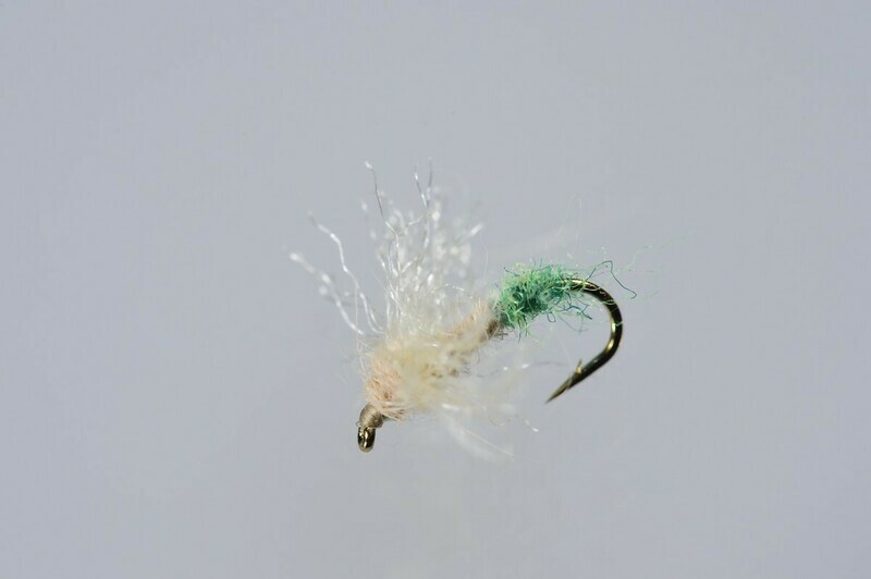 Caddis Spent Adult, Female