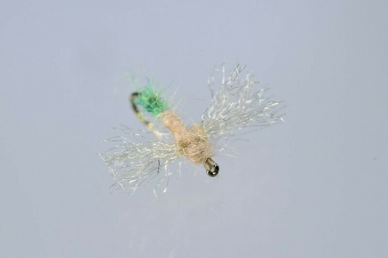 Caddis Spent Adult, Female