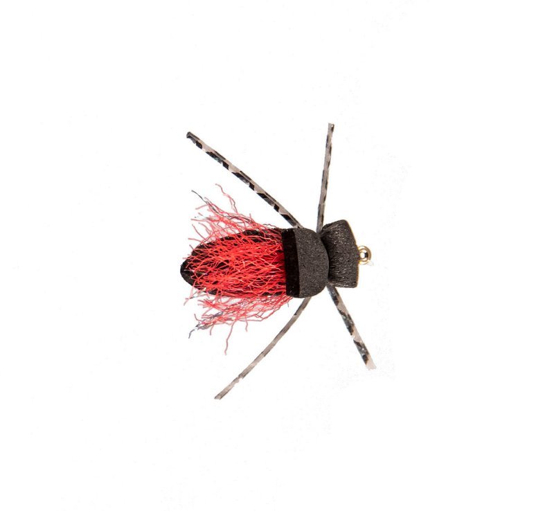 Beetle-time Selection