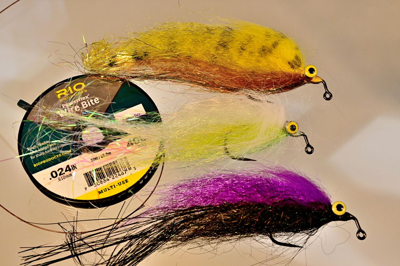 GOLDEN DORADO DIVERS