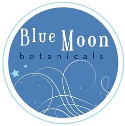 Blue Moon Studios