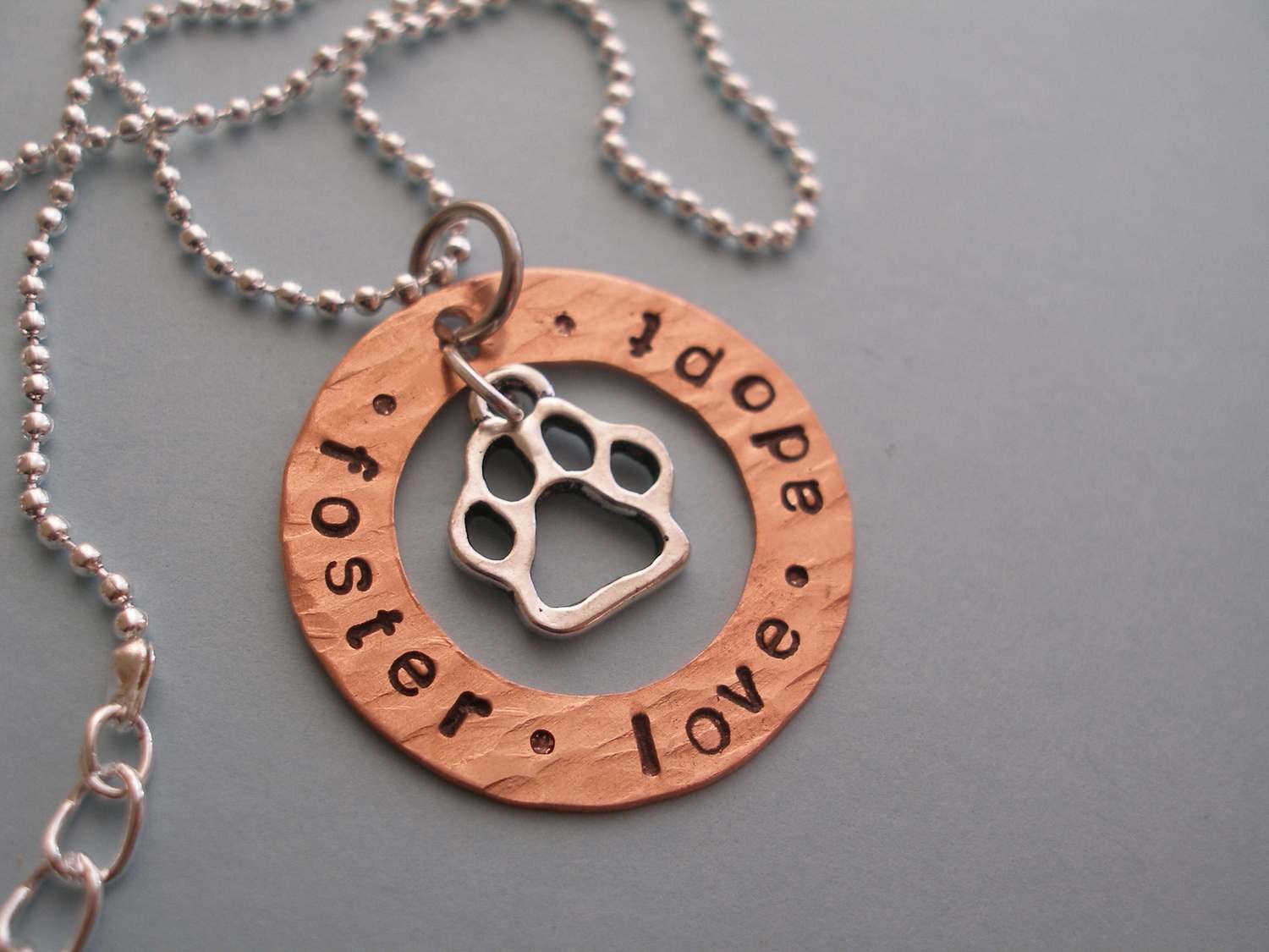 foster - love - adopt