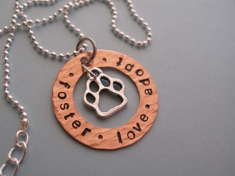 foster - love - adopt