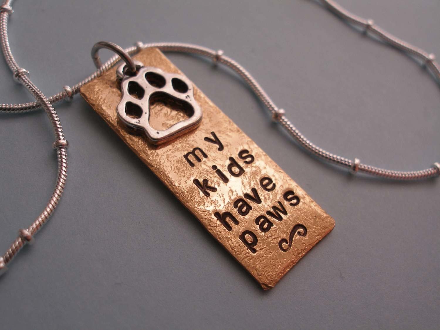 my kids have paws - silver charm
