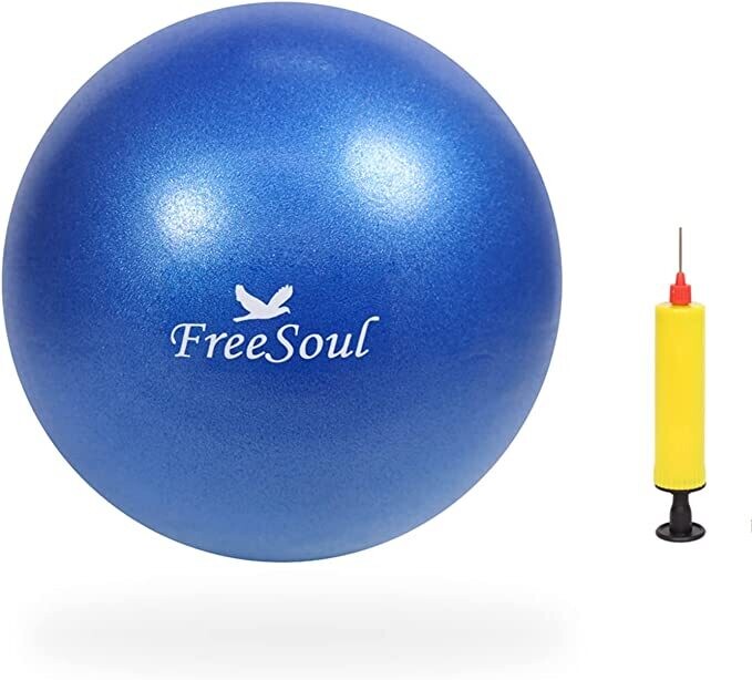 Small Pilates Ball with Pump 9 Inch