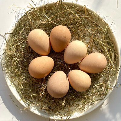 Guinea fowl eggs