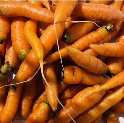 Бейби морковь фермерская. Цена за 100 гр.
