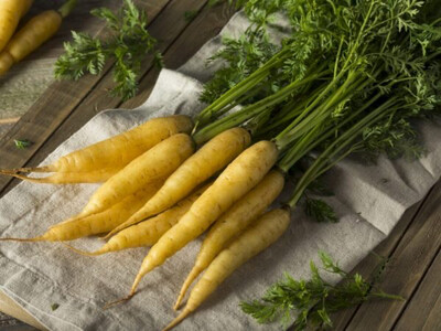 Желтая морковь ферма Веси
