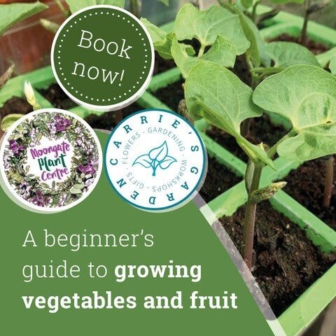 A beginner's guide to growing vegetables and fruit £50 beginners workshop/£30 follow up workshop