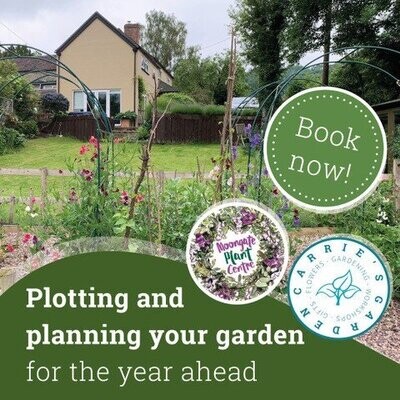 Plotting and planning your garden for the year ahead.