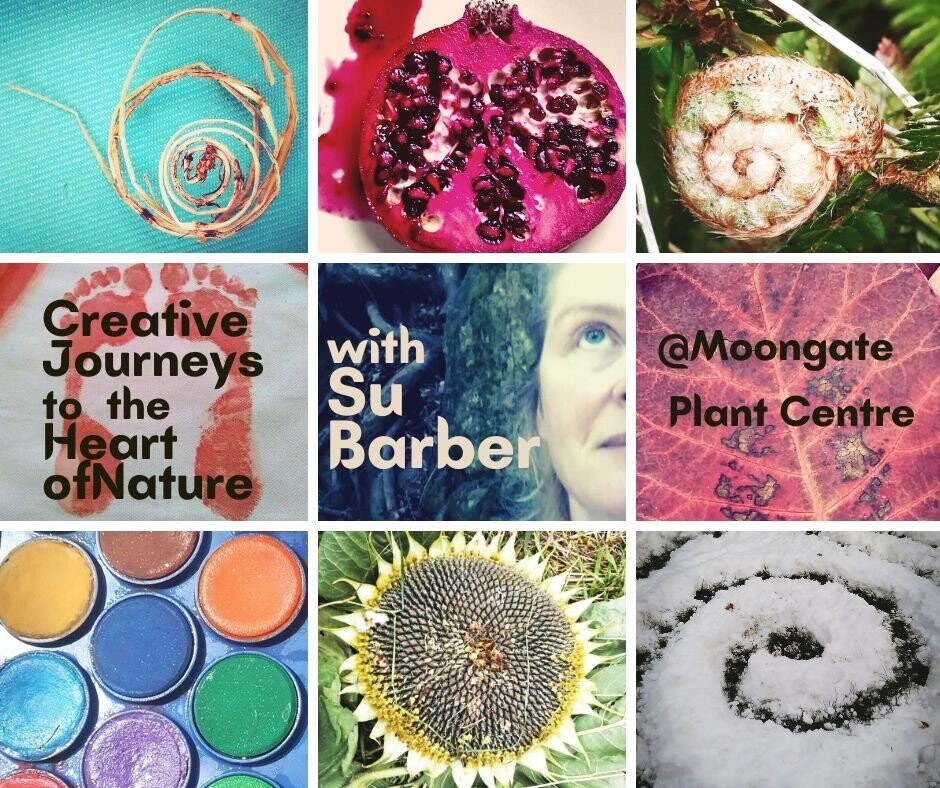 Journey to the heart of nature: A fresh way to reactivate your creativity for beginners and returners to art.
