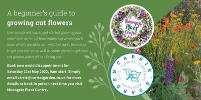 A beginners guide to cut flowers