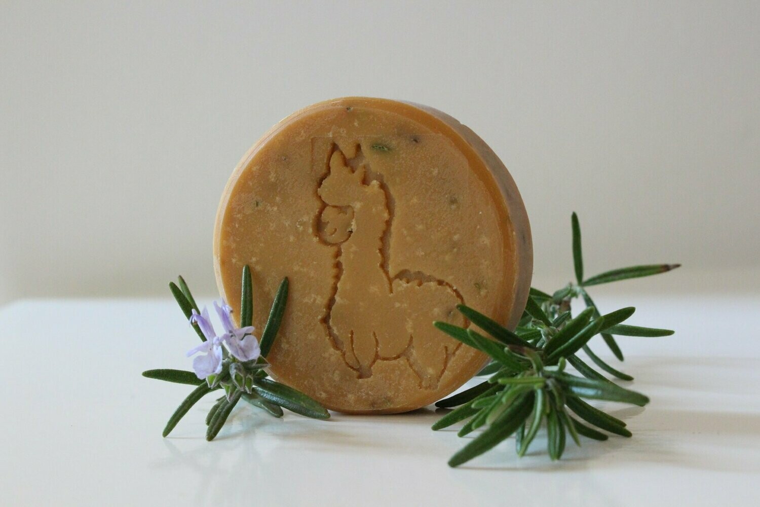 Kräuterhexe Kräuterhexe