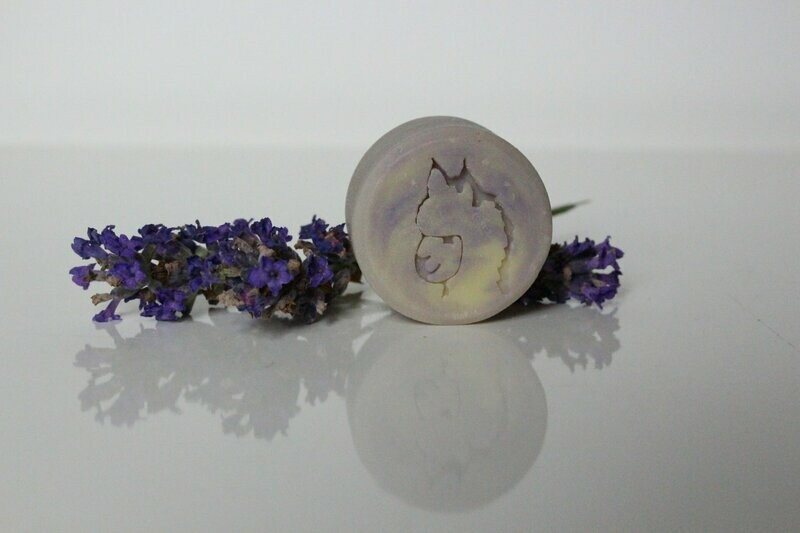 Überraschung - die Kleine