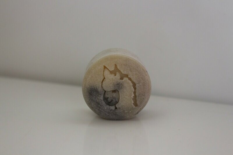 Lavendel - die Kleine