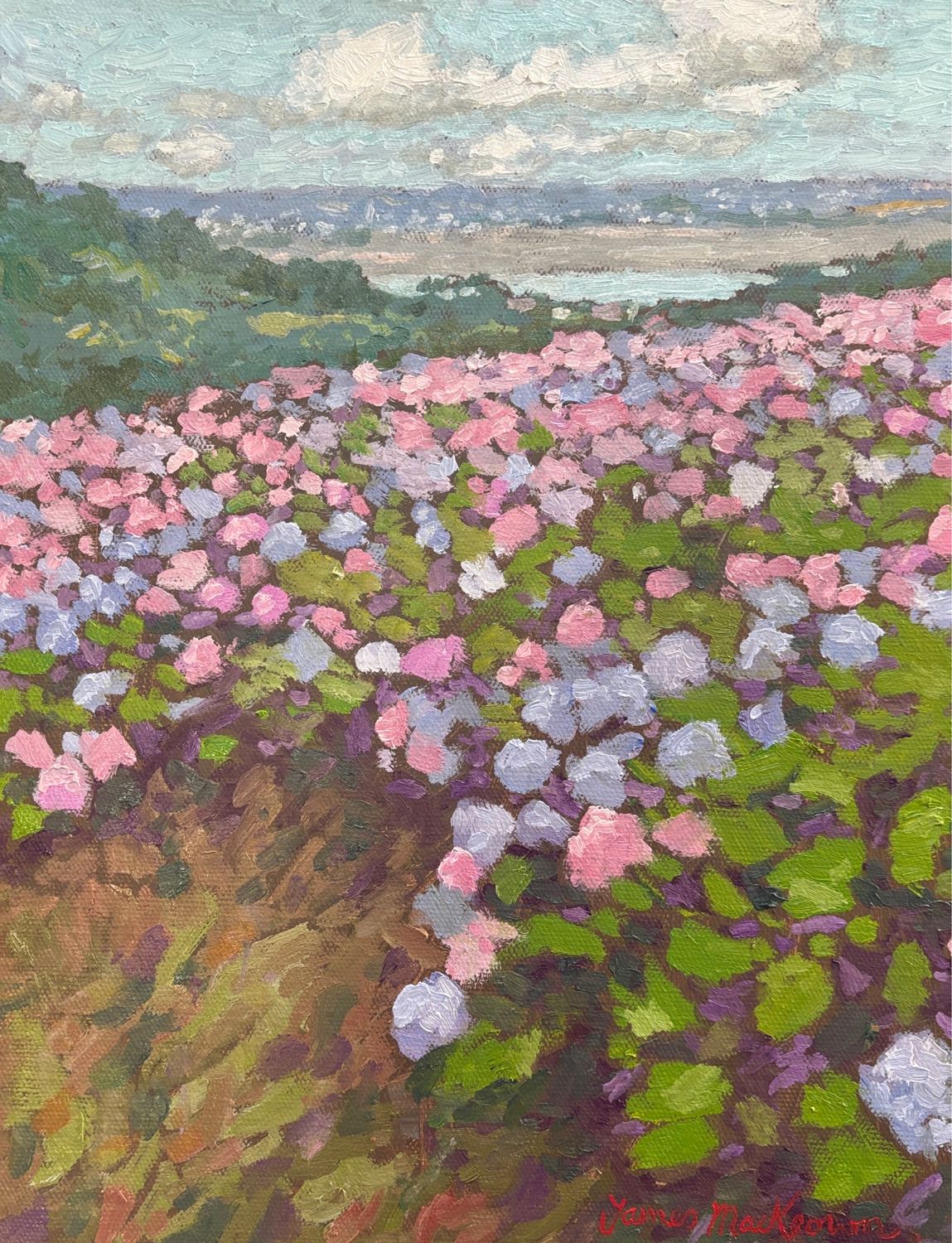 Les hortensias, le matin. 35x27cm. Huile sur toile.