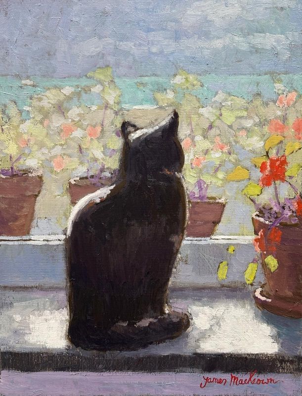 Le chat météorologue 