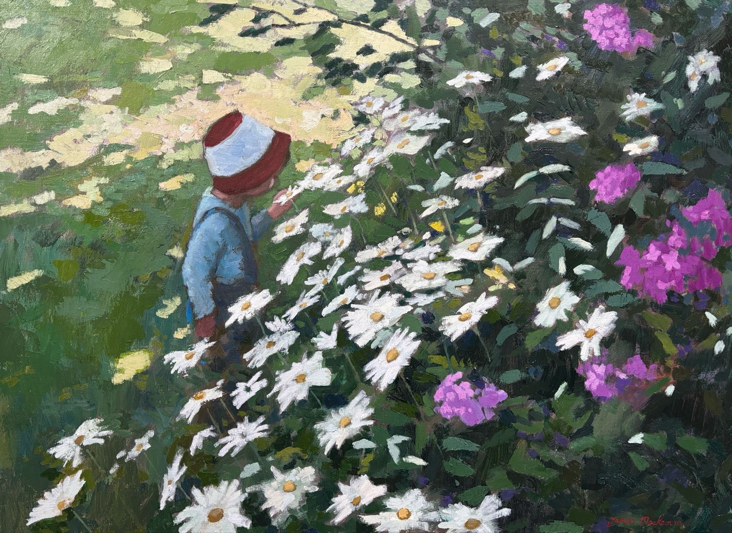 Les marguerites.