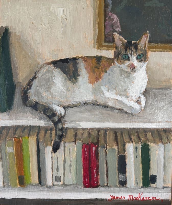 Les romans policiers