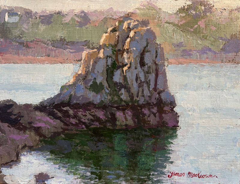 La roche aux oiseaux.