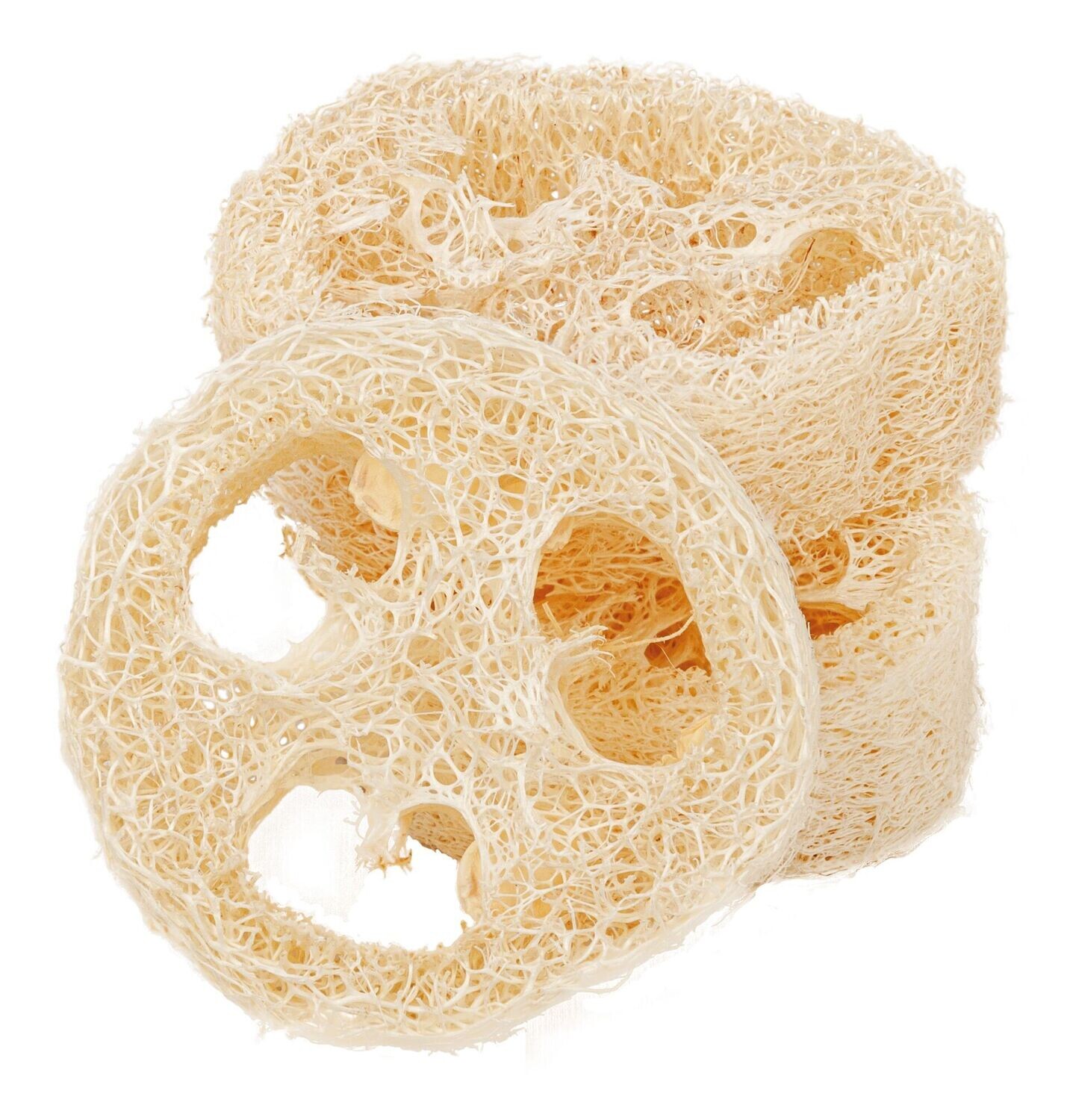 Luffa-Scheiben