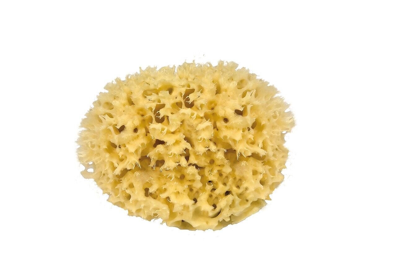 Naturschwamm